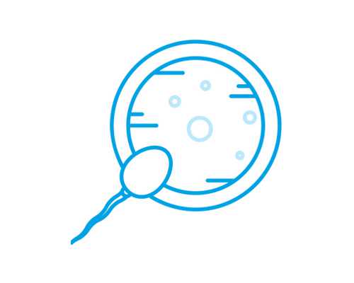 2026年东方医院试管婴儿费用及成功率解析，代怀选性别参考