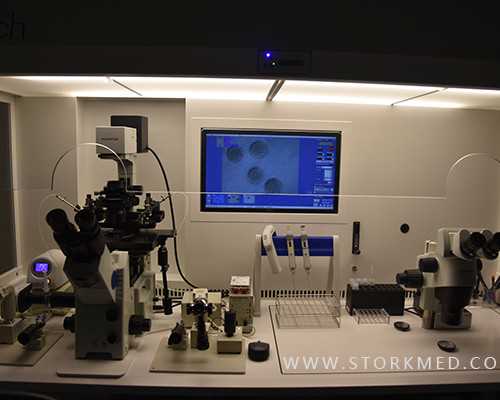 美国试管婴儿前的基础身体检查流程与重要性