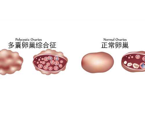 上海第三代试管助孕医院排名与代生代怀机构选择指南