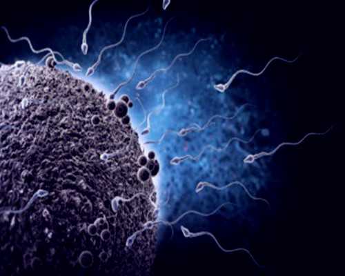 上海输卵管阻塞代生选择与供卵代孕婴儿成功率解析