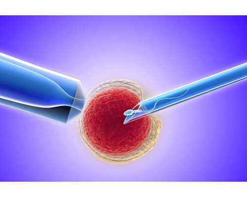 上海诚信助孕机构与试管婴儿医院推荐指南