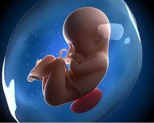 三代试管婴儿助孕指南：如何实现生育梦想