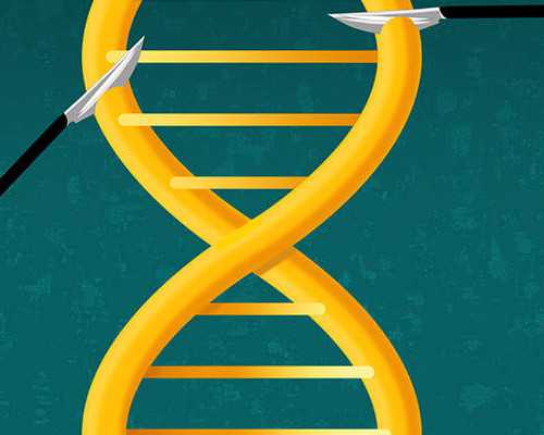 输卵管堵塞与高龄助孕策略及成功率分析