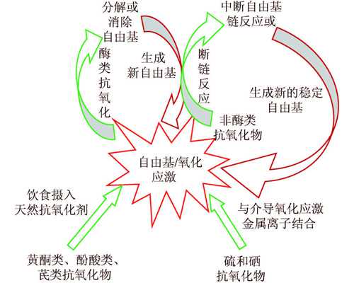 南京妇幼保健院三代试管费用与供卵助孕选择指南