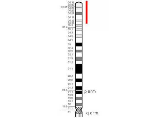 上海三代试管婴儿费用解析：代生代怀助孕价格指南