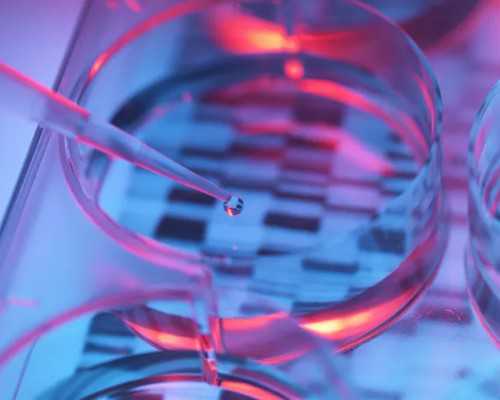 上海供卵代怀生男孩指南：三代试管机构排名与选择策略