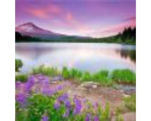 2026年三代试管婴儿流程、时间与费用全解析