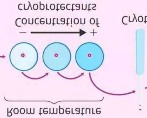 试管助孕：胚胎移植一次成功率究竟如何？