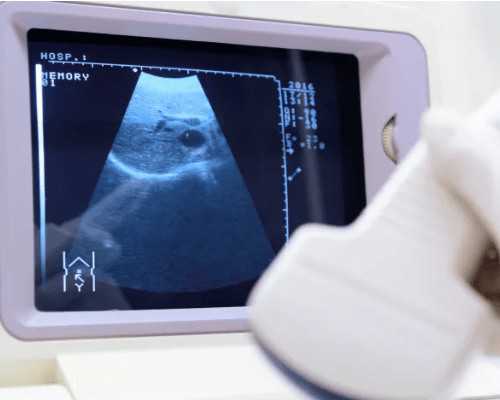 上海借卵代生服务与顶级私人医院推荐指南