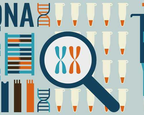 三代试管婴儿是否引发基因突变及助孕知识解析