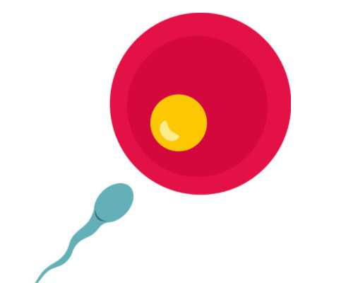 上海试管代生儿子经历分享：刘女士的助孕之旅与国内试管婴儿对比