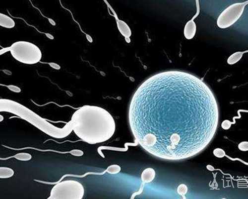 优质试管助孕服务与性别选择指南