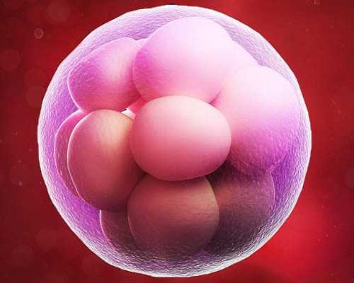 三代试管助孕费用解析与选择指南