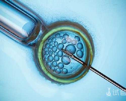 2026上海仁济医院试管婴儿成功率解析及助孕指南