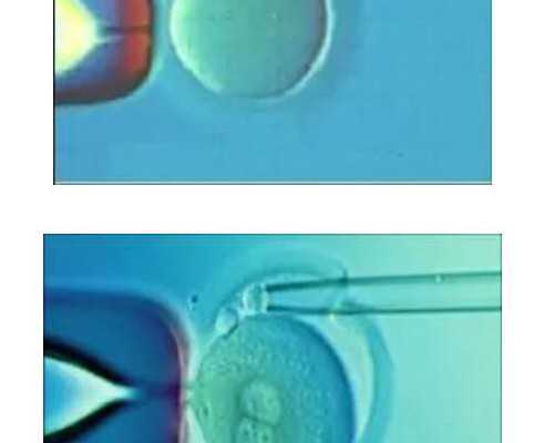 2026年供精助孕机构全面解析与选择指南