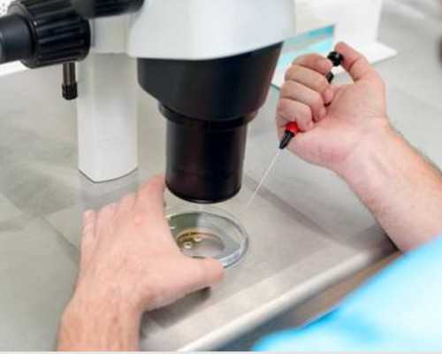 上海代孕生子医院,试管婴儿的智力会有问题吗？ _上海正规供卵试管婴儿医院