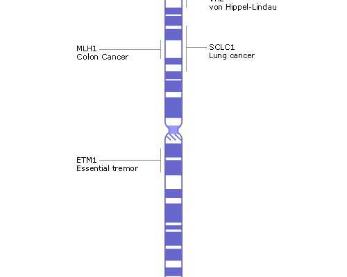 上海不孕不育检查流程与治疗指南：助孕路上的关键步骤