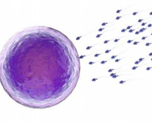国内知名试管婴儿医院推荐与选择指南