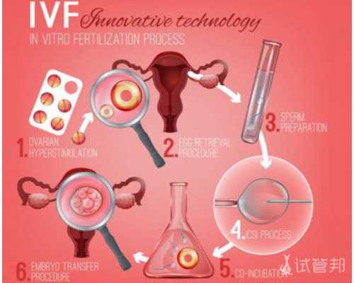 2026年上海私立生殖医院最佳排名及助孕选择指南