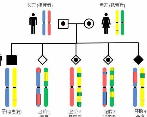 昔日名模14次试管婴儿经历，患癌后选择原谅与人生感悟