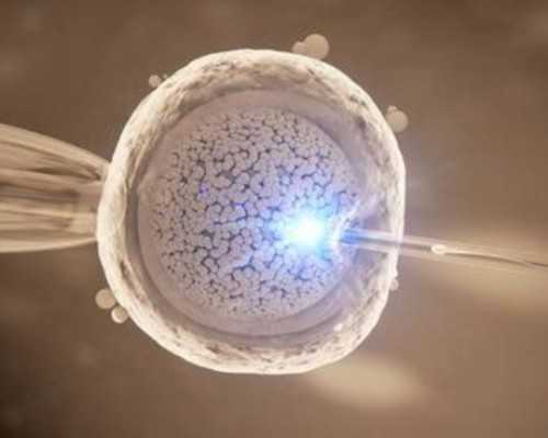 柬埔寨三代试管助孕生子费用解析与生育指南