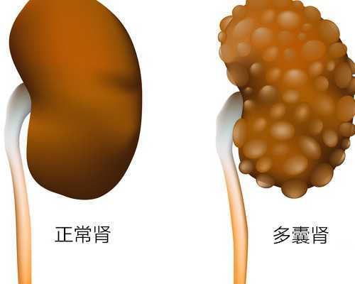 上海试管代怀生子助孕医院排名及辅助生殖机构指南