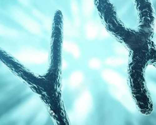 试管婴儿预防胎停育的关键措施与实用指南