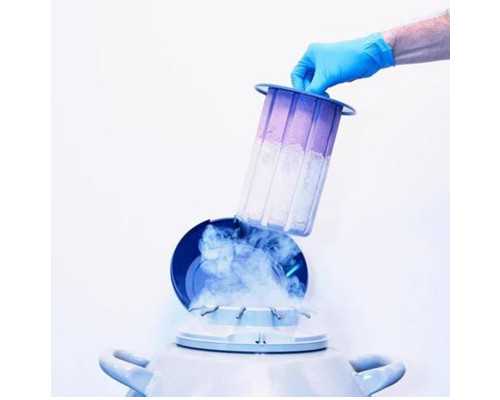 备孕期实用APP推荐：助孕工具与孕期管理