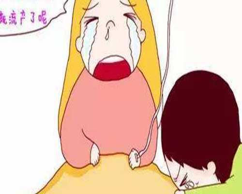 孕早期滋补鸡汤：五大益处与食用指南