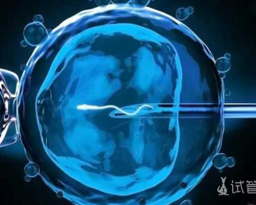 权威试管助孕机构与第一妇婴保健院深度解析