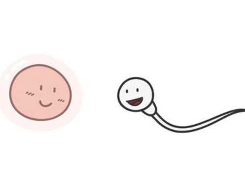 上海新华医院第三代试管婴儿费用与性别选择指南