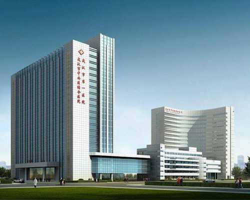 上海正规代孕机构推荐：美国试管婴儿叶酸补充指南与助孕营养策略