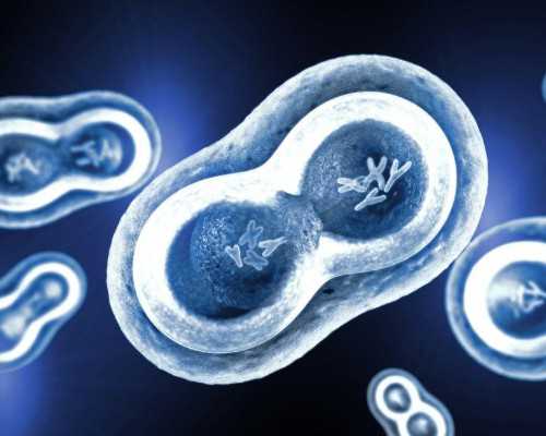 2026年试管婴儿费用与二代三代技术全解析