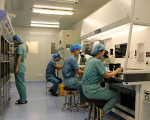 上海三代试管性别选择与费用详解,助孕服务全方位解析