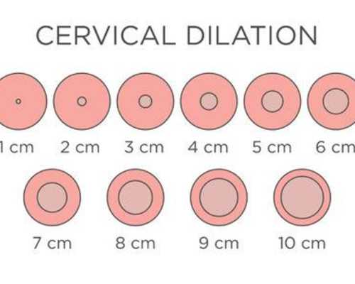 上海供卵试管与输卵管疏通选择解析：医院建议背后的原因
