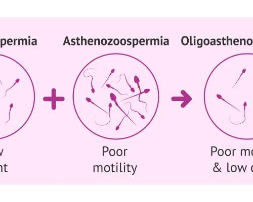 上海长征医院三代试管婴儿生双胞胎费用详解与助孕指南